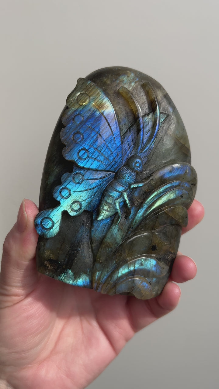 Labradorite Butterfly Carving 6