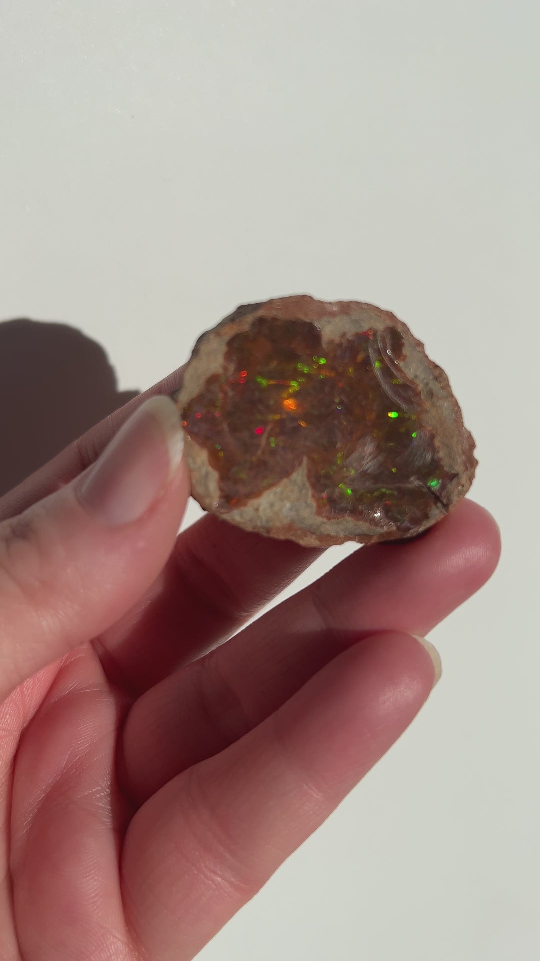 Raw Chocolate Walo Opal (4)