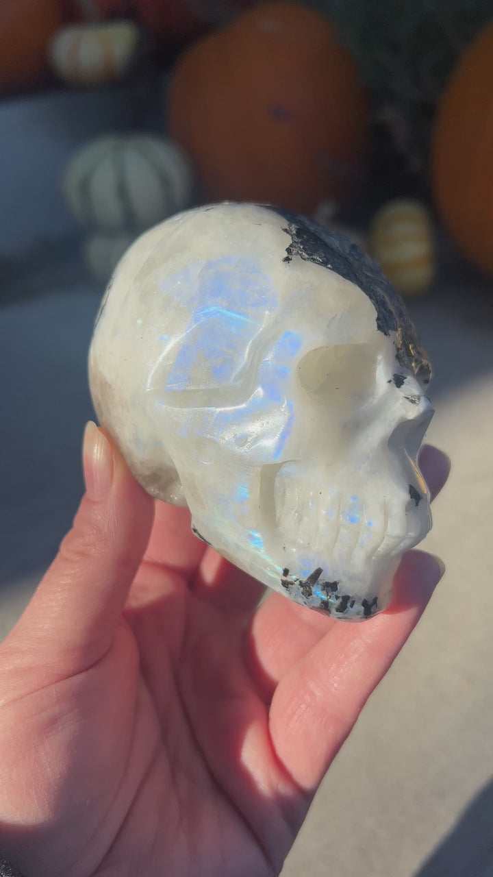 Rainbow Moonstone Skull | 596g