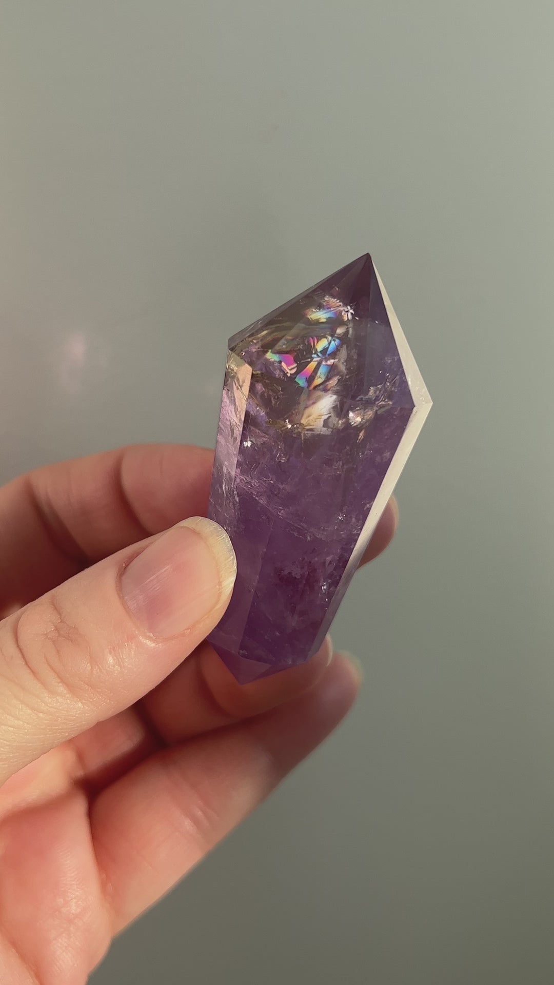 Ametrine Vogel (2)