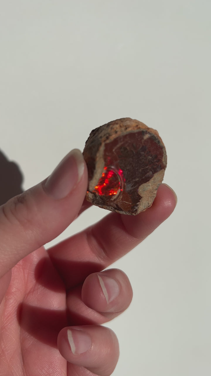 Raw Chocolate Walo Opal (2)