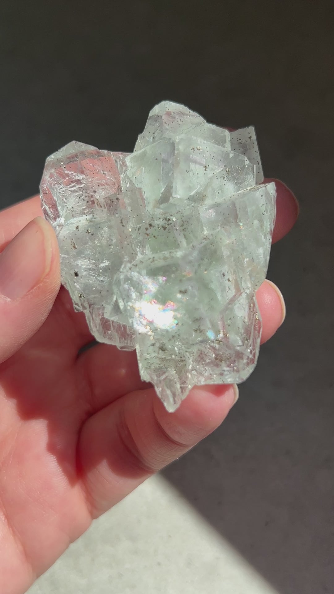 Glassy Green Fluorite w/ Sparkly Pyrite & filled with rainbows