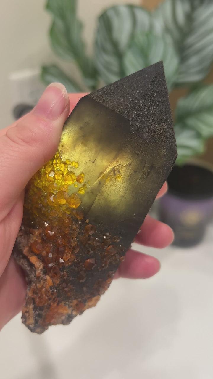 Spessartine Garnet on Smoky Quartz Point | 356g