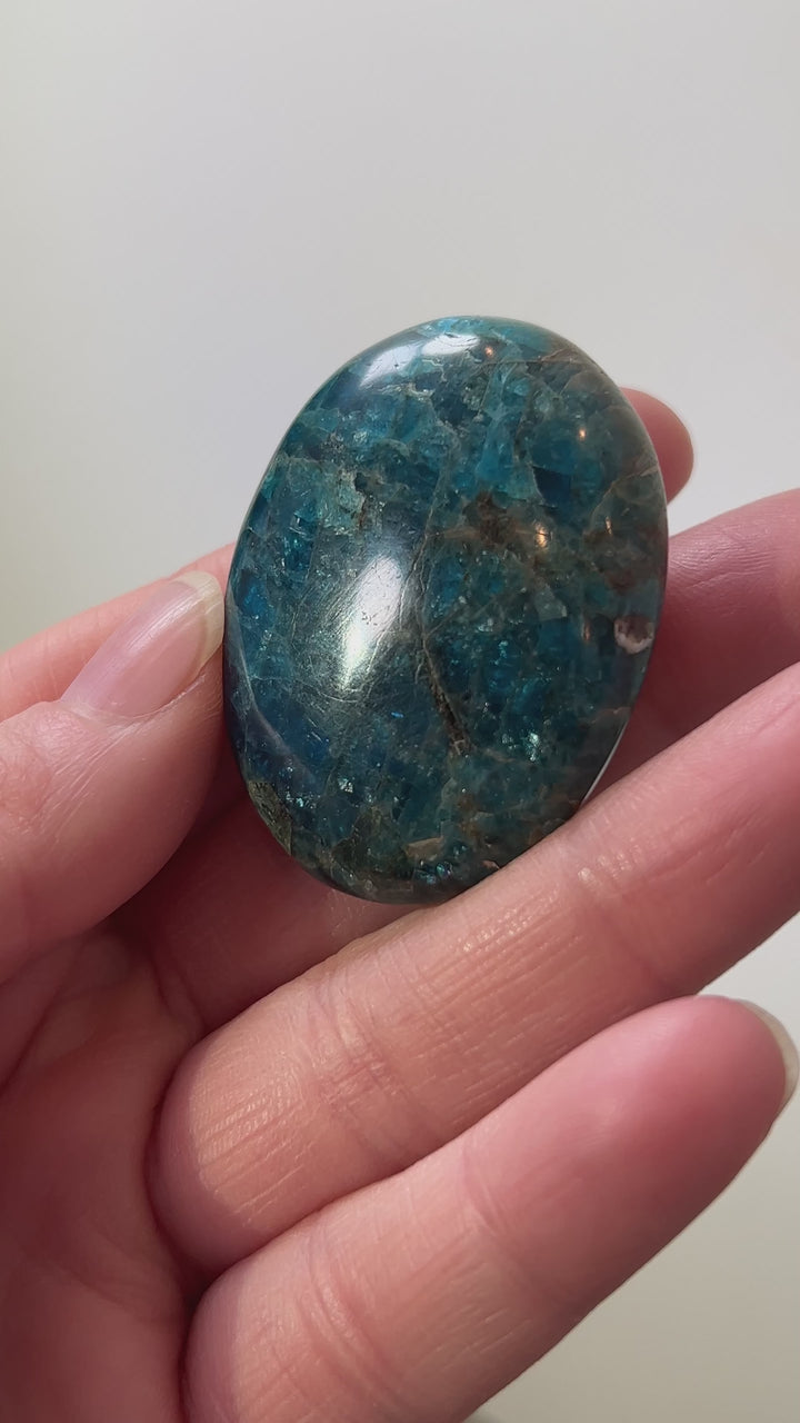 Apatite Palmstone (6)