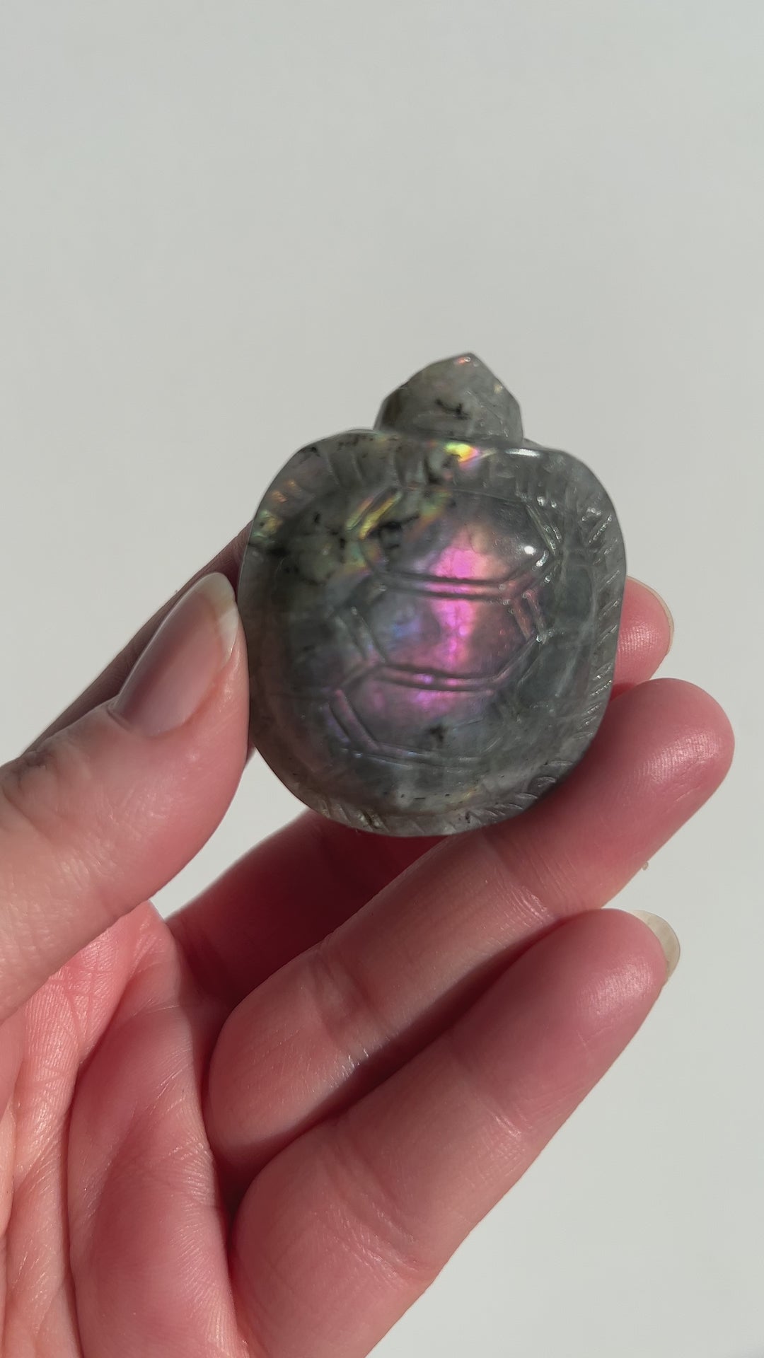 Labradorite Turtle Carving (3)