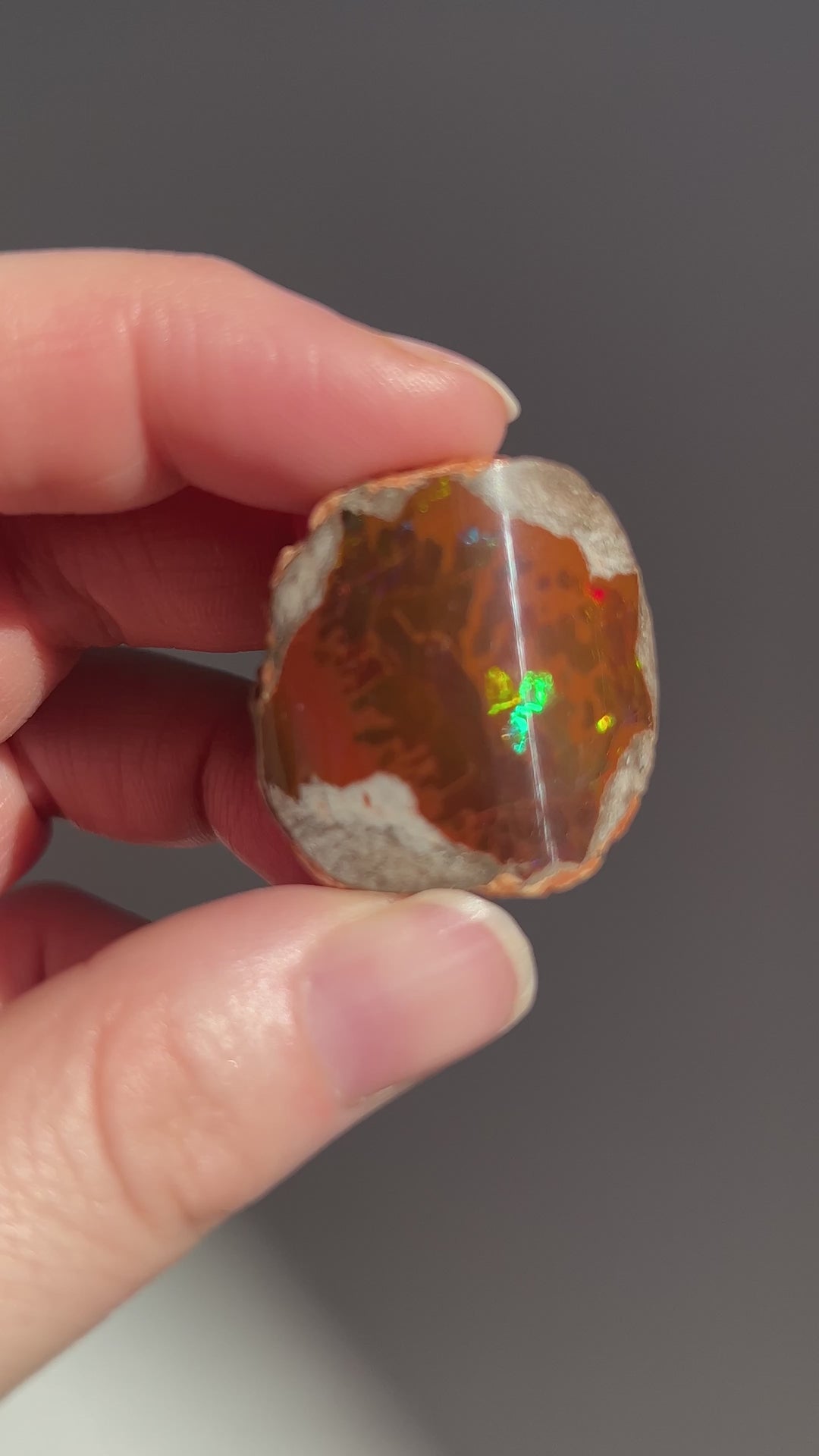 Polished Chocolate Opal (10)