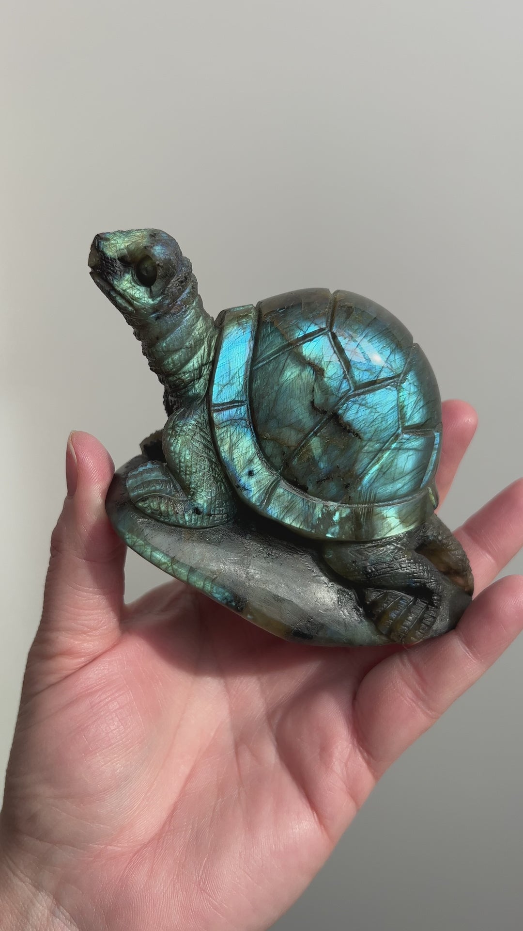 Labradorite Turtle Carving 1