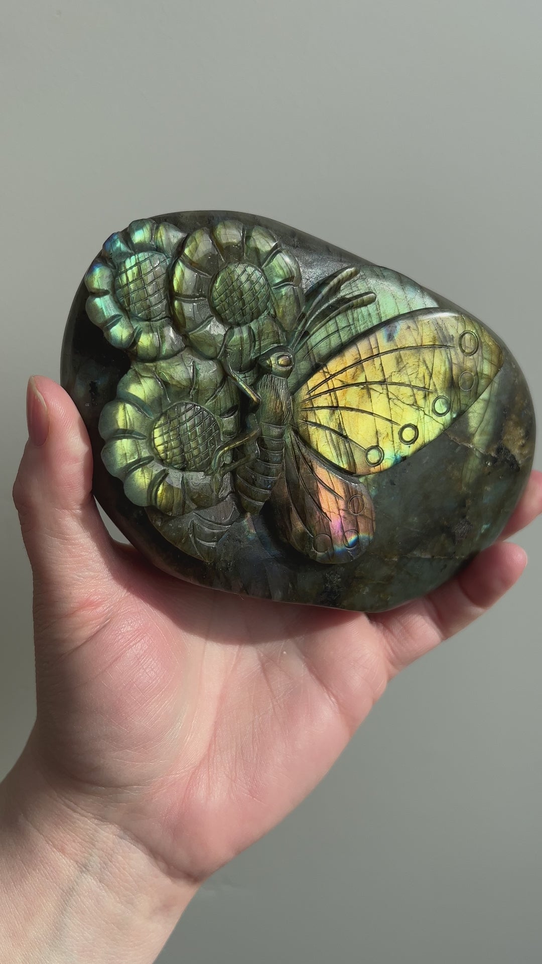 Labradorite Butterfly Carving 2