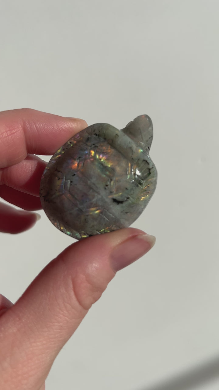 Labradorite Turtle Carving (1)