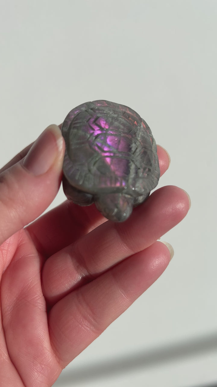 Labradorite Turtle Carving (2)