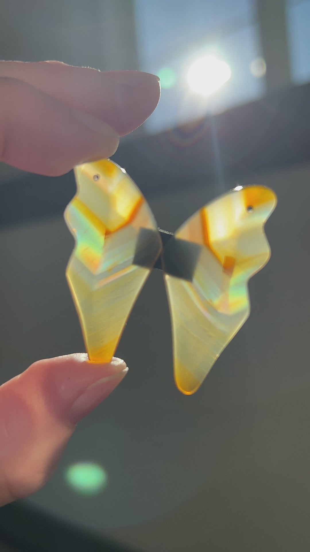 Iris Agate Butterfly Wing Pair 4