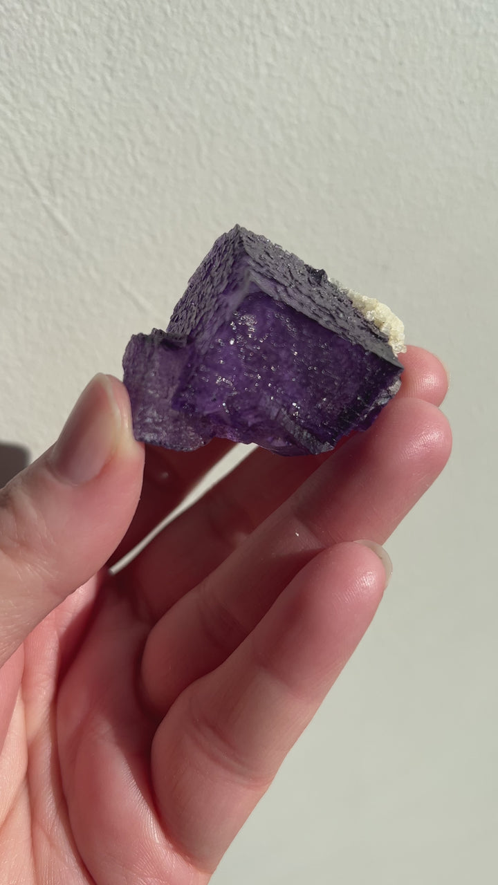 Vibrant Elmwood Fluorite | 51g