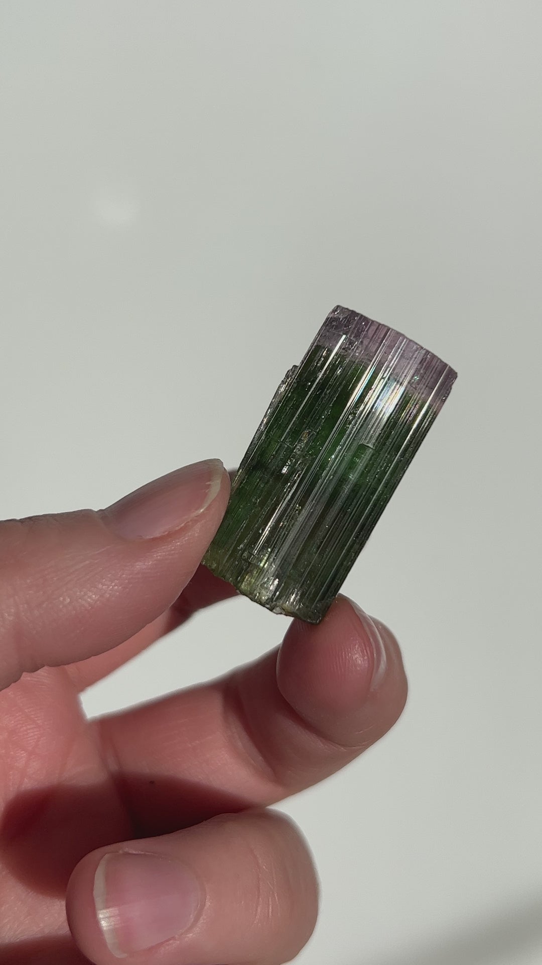 Pink Capped Tourmaline 1 19.9g Afghanistan