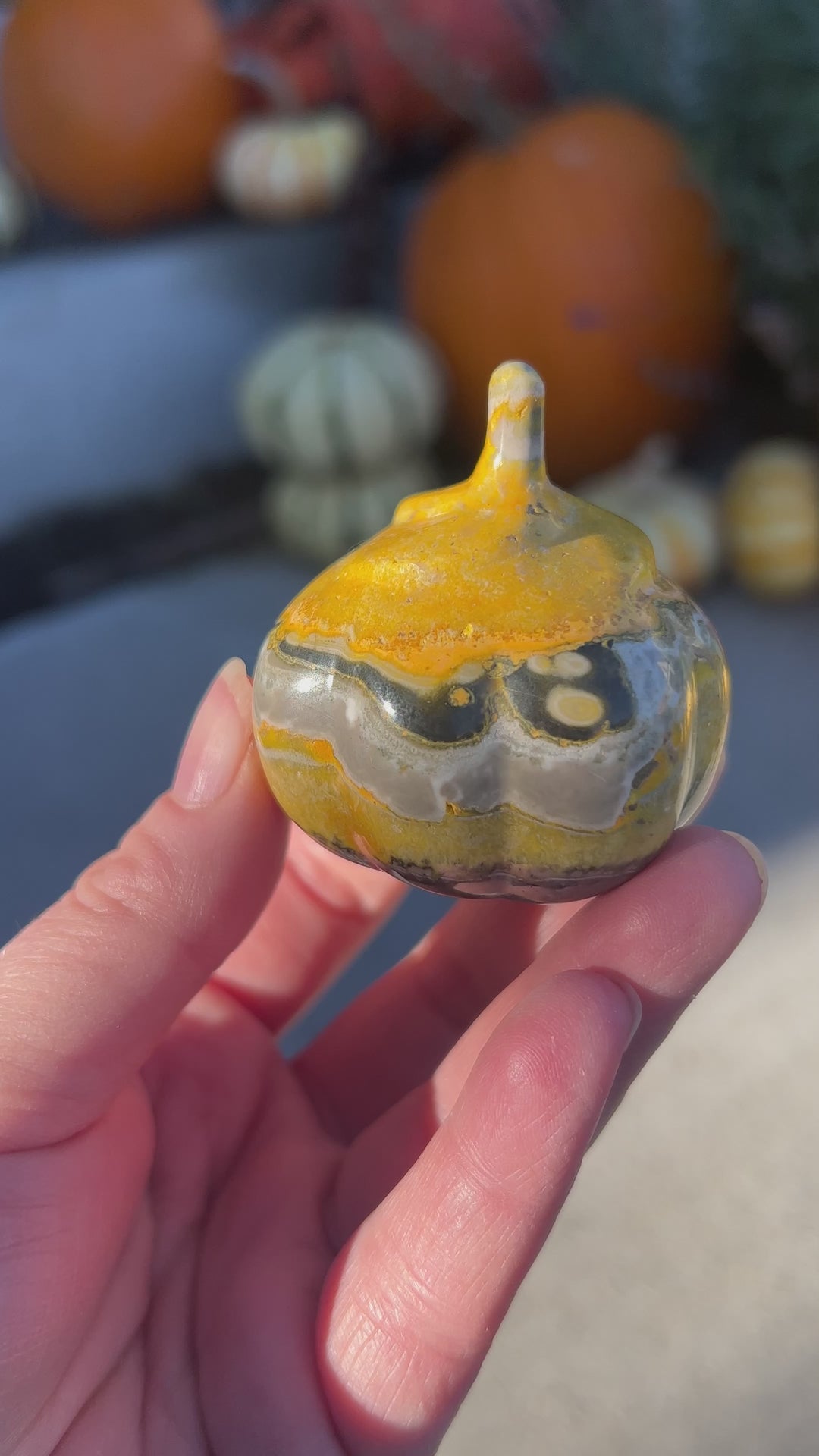 Bumblebee Jasper Pumpkin | 138g