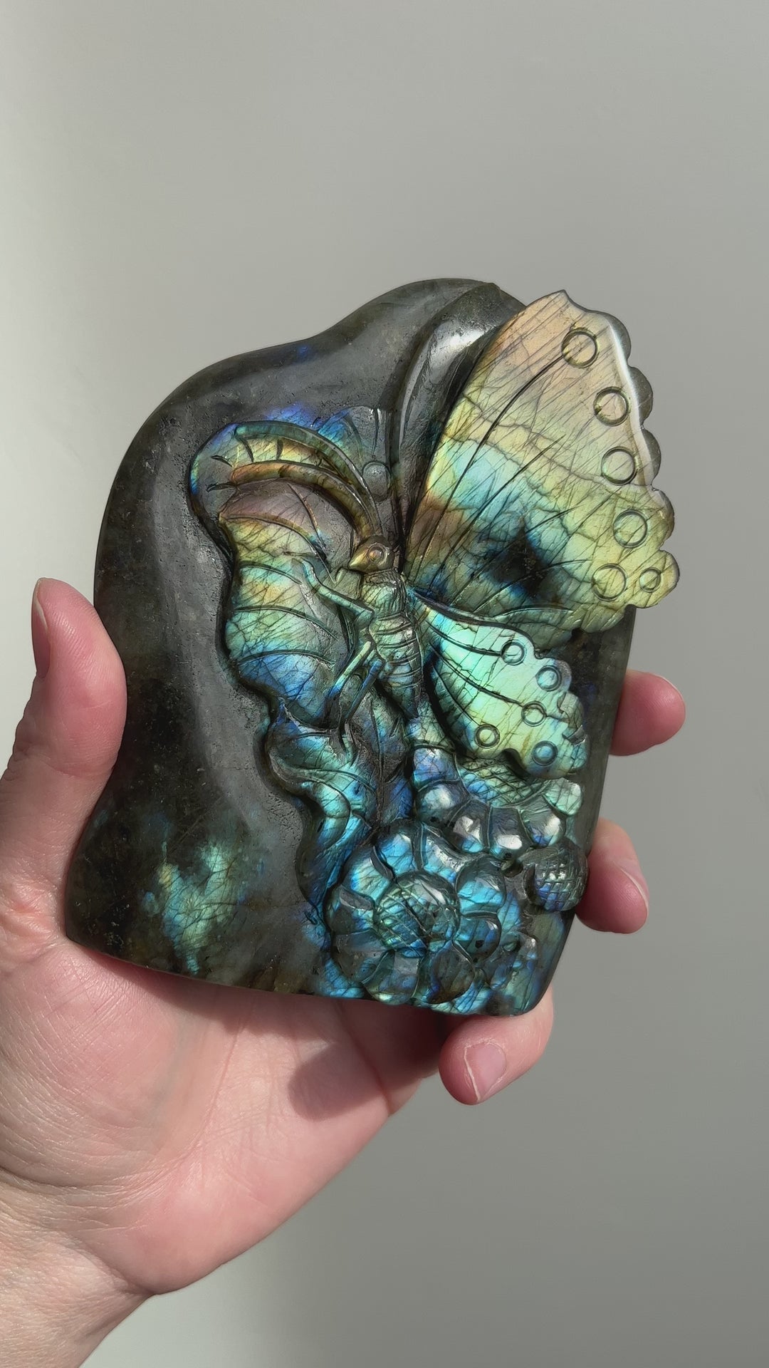 Labradorite Butterfly Carving 8