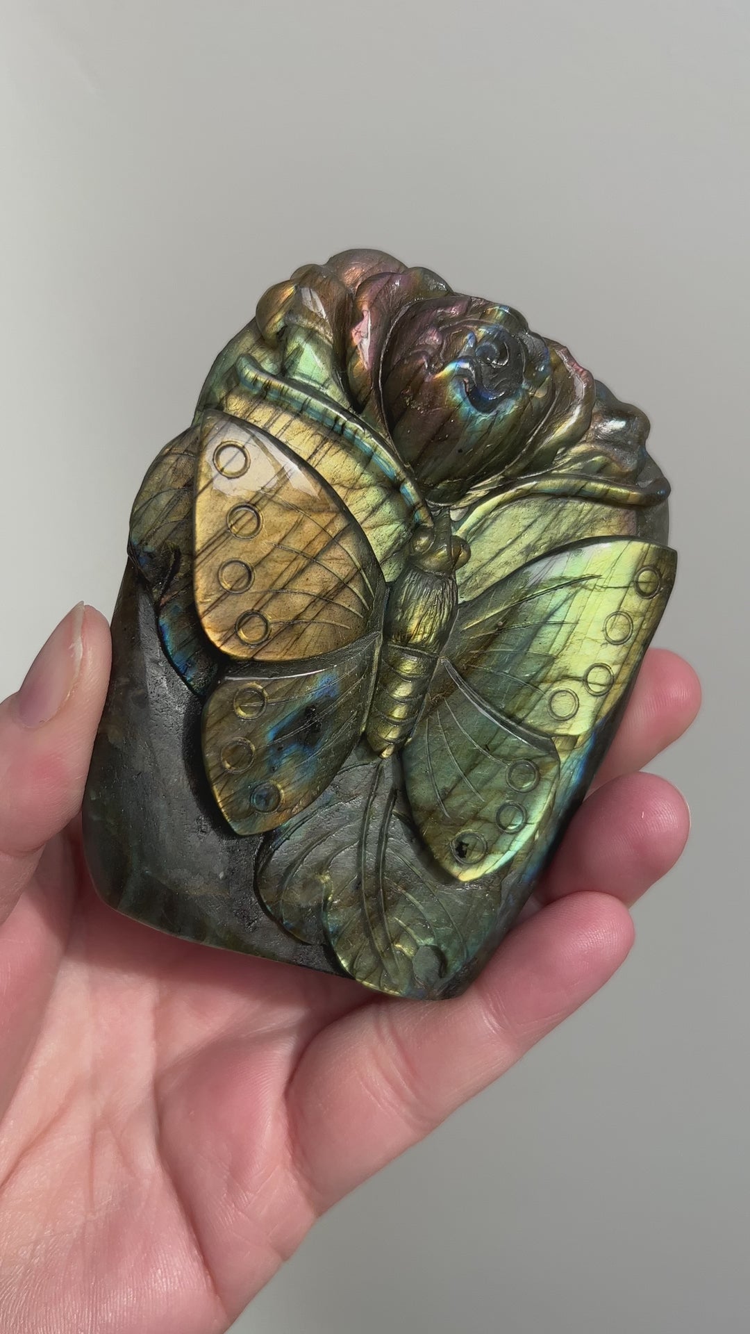 Labradorite Butterfly Carving 7